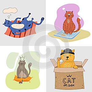 Set cute cats sitting, playing, in the paper box. Stickers, banners, poster, cartoon flat style illustration