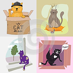 Set cute cats sitting on the window, on the pillow, playing in the paper box. Stickers, banners, poster, cartoon