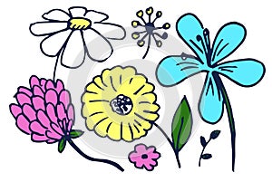 Set of Cute Colorful Flowers Vector Illustration