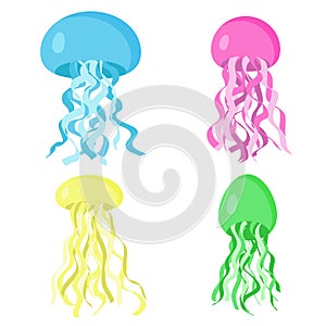 Set of cute colorful jellyfishes, vector illustration. Underwater animal, swimming marine creatures. Cartoon and flat