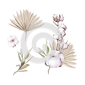 Set of cute cotton flowers branches and leaves. Watercolor illustration