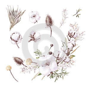 Set of cute cotton flowers branches and leaves. Watercolor illustration