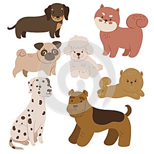 Set of cute dogs isolated on white background. Vector graphics