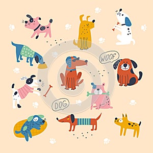 Set of cute dogs. Vector illustrations