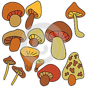 Set of cute doodles mushroom, Brown and orange nature elements, vector hand draw illustration