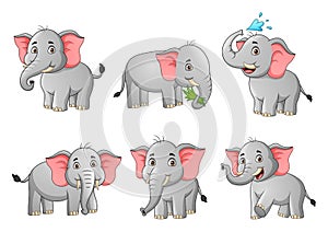 Set of cute elephant cartoon