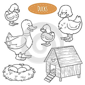 Set of cute farm animals and objects, vector family ducks