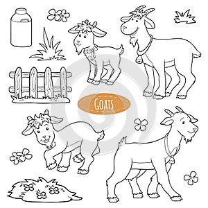 Set of cute farm animals and objects, vector family goats