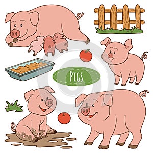 Set of cute farm animals and objects, vector family pigs