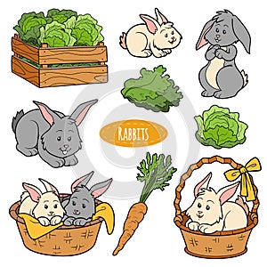 Set of cute farm animals and objects, vector family rabbit