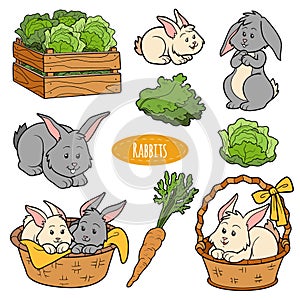 Un conjunto compuesto por lindo los animales a objetos familia conejo 