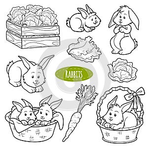 Set of cute farm animals and objects, vector family rabbits