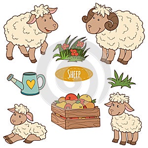 Set of cute farm animals and objects, vector family sheep