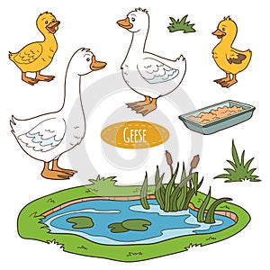 Set of cute farm animals and objects, vector goose family