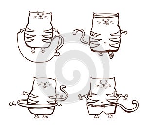 Set of cute fitness cats