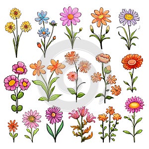 Set of cute flowers cartoon characters