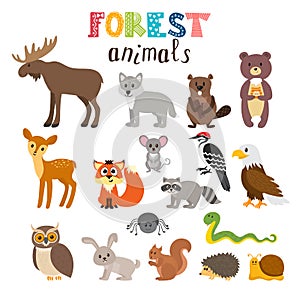 Set of cute forest animals in vector. Woodland. Cartoon style