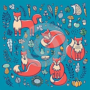 Set of cute foxes and floral elements