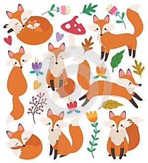 Set of cute foxes vector illustrations in flat style. Fox cartoon characters clip art collection. Woodland animal. Forest animals.