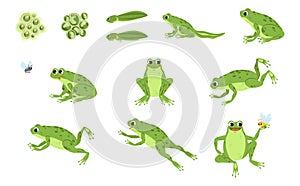 Set of Cute Frog and Frog Prince cartoon characters