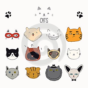 Cute cat doodles set