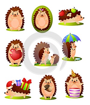 Set of cute funny forest hedgehog in different situations