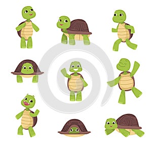 Set of cute green turtles with brown shell in various poses isolated on white background