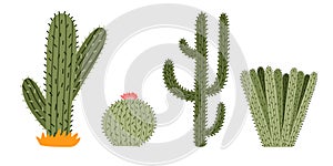 Set of cute hand drawn saguaro cactus from Mexico or Wild West desert. Vector simple cacti flower with thorns in cartoon