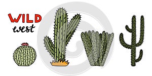 Set of cute hand drawn saguaro cactus from Mexico or Wild West desert. Vector simple cacti flower with thorns in cartoon
