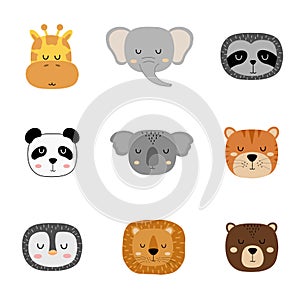 Set of cute hand drawn slleping animals. Cartoon zoo. Vector illustration. Animals for the design of children`s products