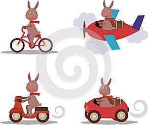 Set - cute hare with scarf on scooter, bike, airplane, car