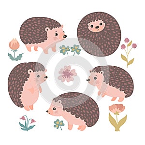 Set of cute hedgehogs isolated on a white background. Vector graphics