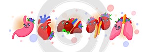 Set of cute human organs with flowers and colorful dots. Heart, liver, kidneys, stomach, lungs