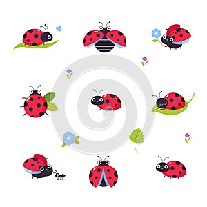 Set of cute ladybugs. Little funny ladybird insects mascots cartoon vector illustration