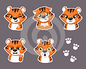 Set of cute little tiger cartoon animal stickers design flat vector illustration