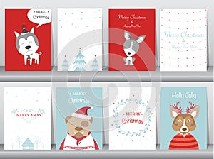Set of cute Merry christmas background with cute animal and winter clothes,cute animal, Vector illustrations