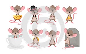 Set a cute mouse in different situations. Animals cartoon character rat vector illustration on white background.