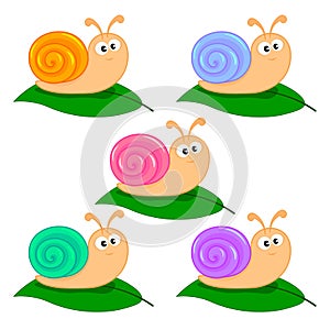 Set of cute multi-colored snails on a green leaf
