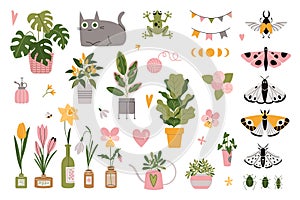 Set with cute natural, plant elements, cartoon style. Houseplants, bottled flowers, decorations and butterflies. Urban