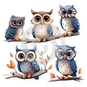 Set of cute owls on white background