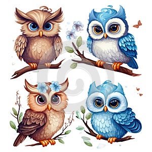 Set of cute owls on white background