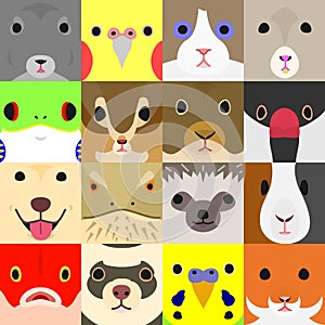 Set of cute pet animals face in square