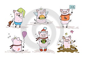 Set of cute pigs,piggy in different poses and situations