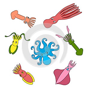 Set of cute sea cephalopods. Color vector hand drawing illustration.