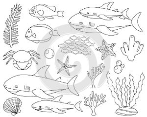 Set cute shark and sea elements fish crab algae corals seashell starfish in black and white color vector illustration