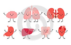 Set cute smiling happy human healthy strong organs characters. Brain, lungs, kidneys, stomach, liver, gut intestine and