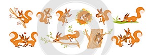 Set of cute squirrel character vector flat illustration. Collection of funny wild animal parent, child and couple