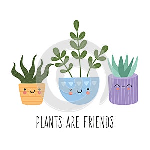Set of cute succulents cactus with smiling funny faces