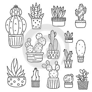 Set of cute succulents. Kawaii cactus. Black and white doodle illustration