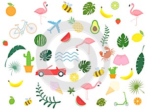 Set of cute summer icons. Bike, plane, crab, car, palm leaves, ice cream, cactus, fruits and flamingo.